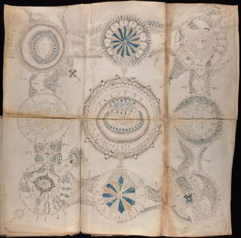 The Rosettes foldout