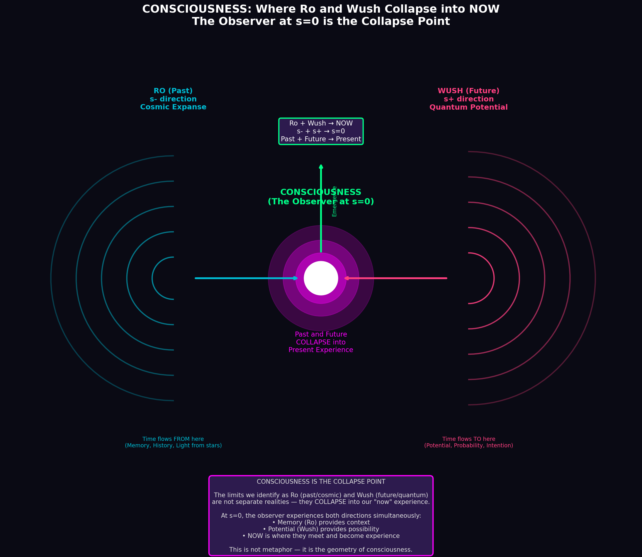 Consciousness Collapse
